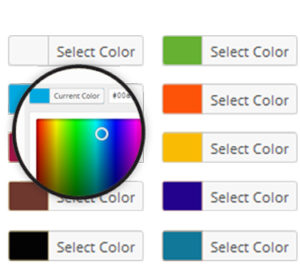 Colormag Category Color Customization