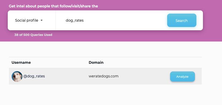 Viewing the dogrates social profile in SparkToro